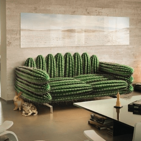 cactus couch
