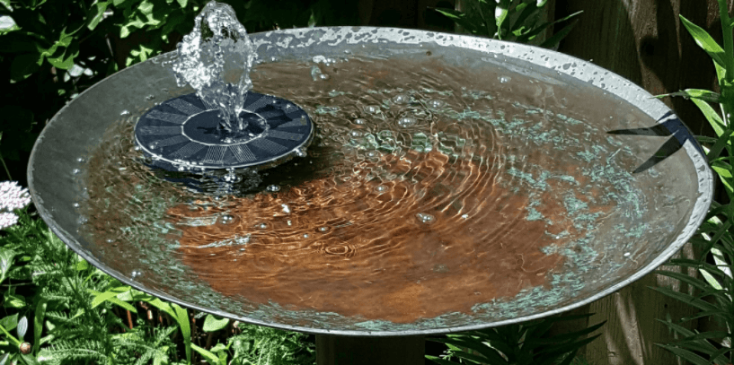 ground water bowl bird bath