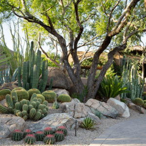 North Scottsdale, Paradise Valley, and Phoenix Landscape Design