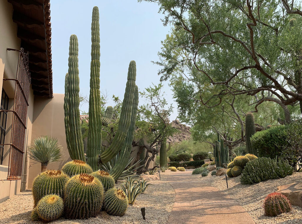 North Scottsdale, Paradise Valley, and Phoenix Landscape Design