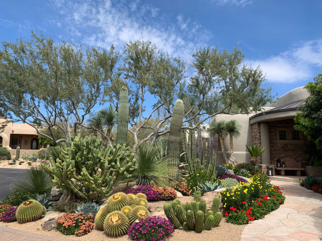 North Scottsdale, Paradise Valley, and Phoenix Landscape Design