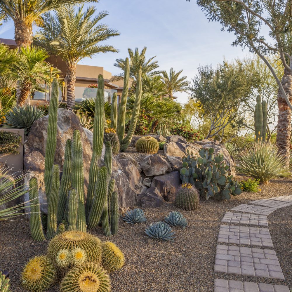 North Scottsdale, Paradise Valley, and Phoenix Landscape Design